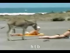 倒錯した女の子は許しを求めるために戦いの後に行く アダルト 素人 女性